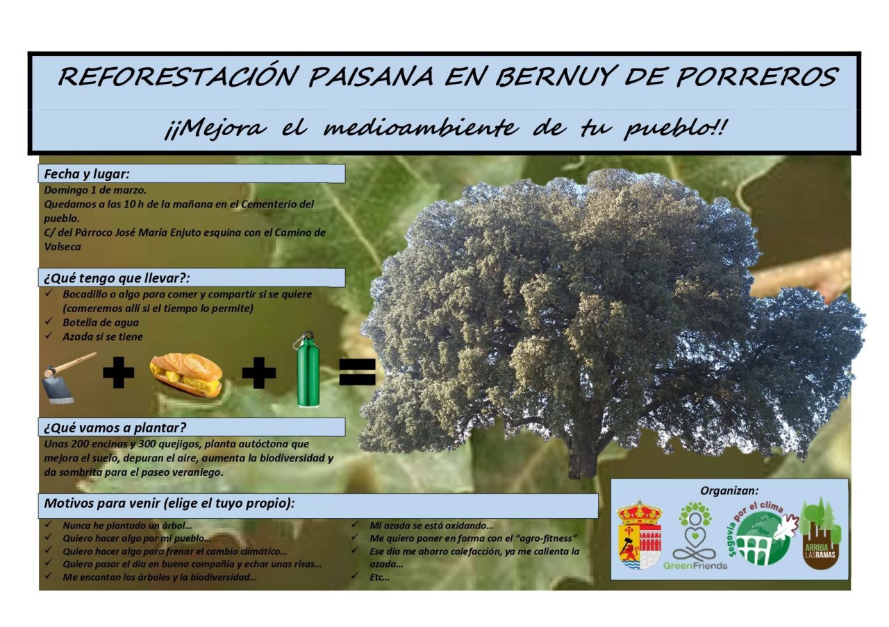 Reforestación paisana en Bernuy de Porreros
