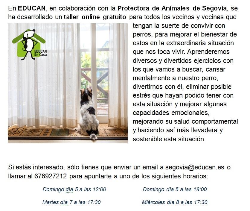 Taller online gratuito para entretener y cuidar de tu perro durante la cuarentena