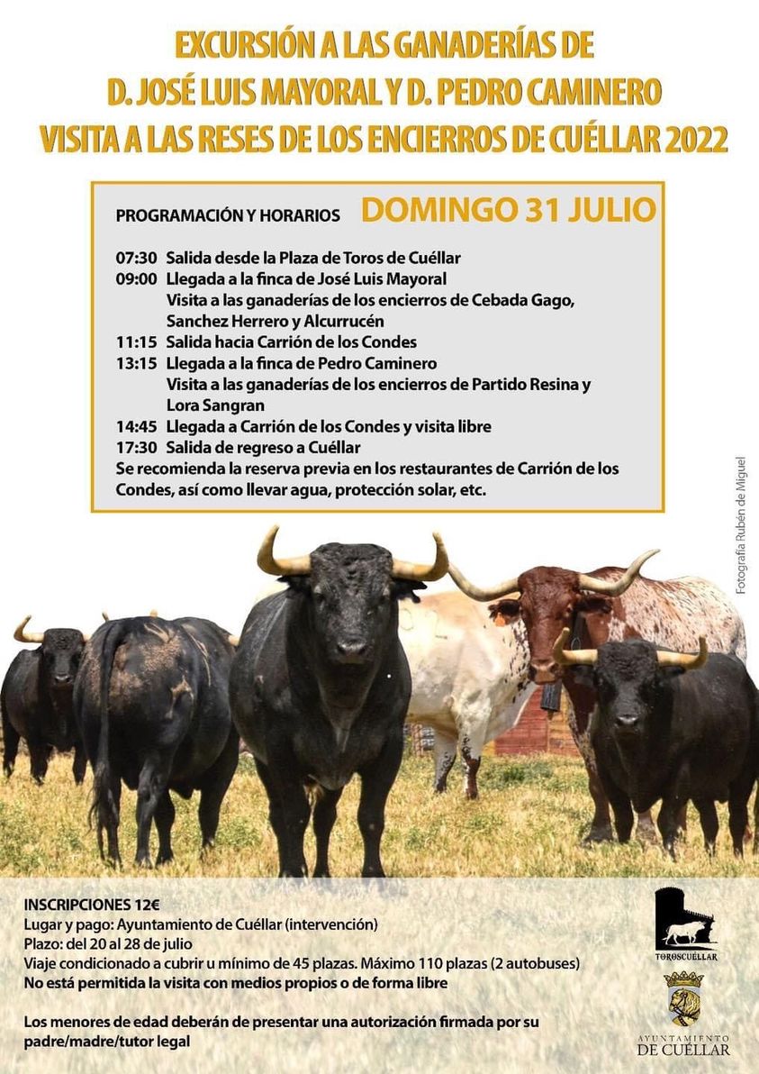 Excursión a las Ganaderías con Visita a las Reses de los Encierros de ...
