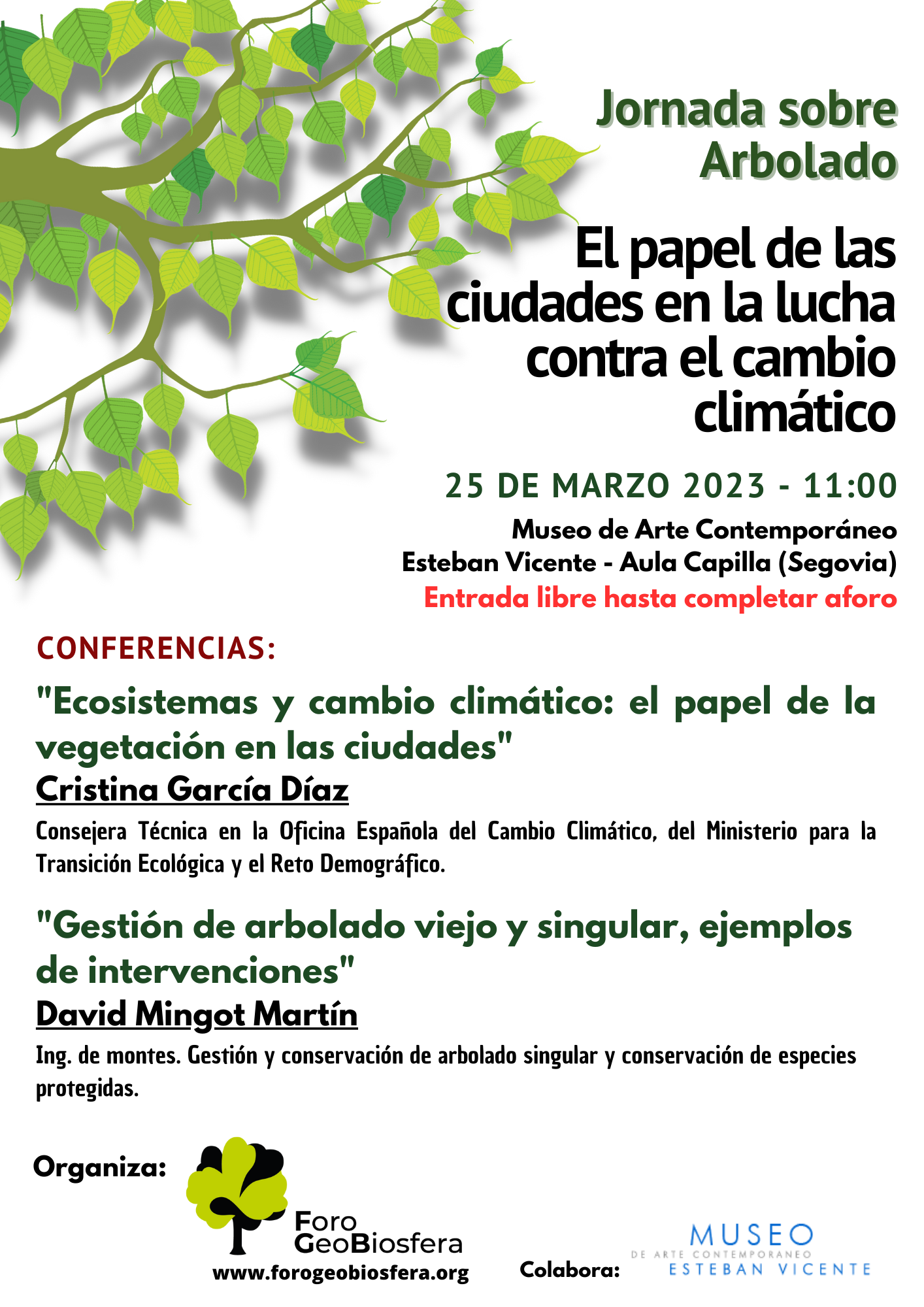 El papel de las ciudades en la lucha contra el cambio climático ...