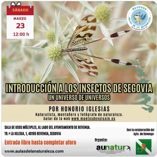 Introducción a los Insectos de Segovia. Un universo de universos