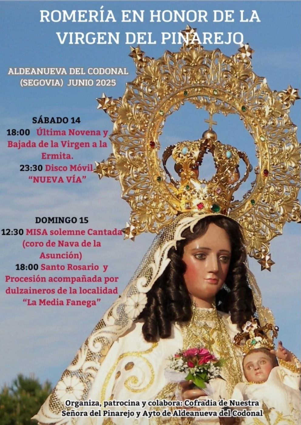 Romería en honor de la Virgen del Pinarejo 2025 en Aldeanueva del ...